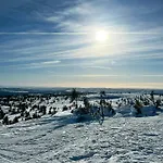 Newly Renovated By Slopes *