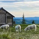 Newly Renovated By Slopes Σπίτι διακοπών Sjusjoen