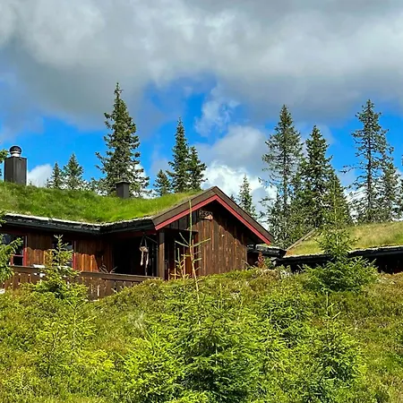 Newly Renovated By Slopes