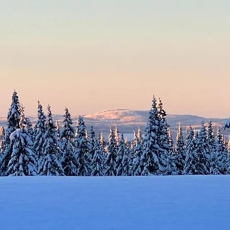 Newly Renovated By Slopes * Sjusjoen