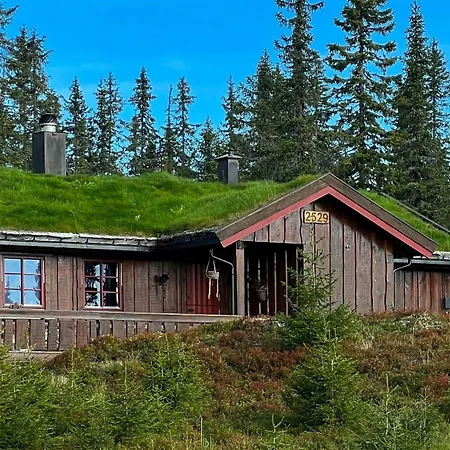 Newly Renovated By Slopes Feriehus