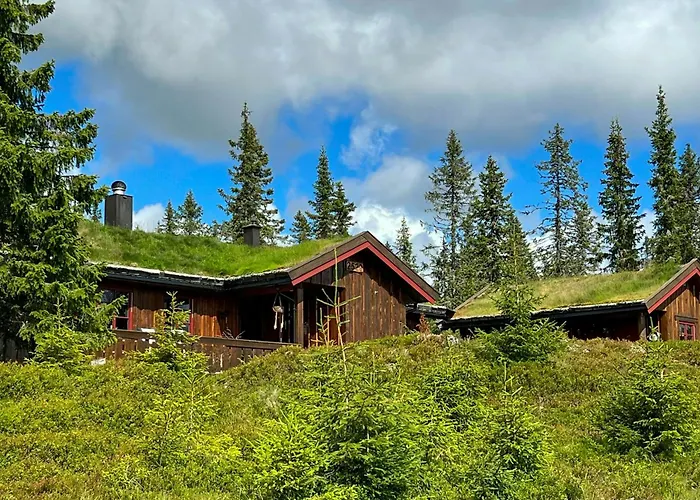 Newly Renovated By Slopes