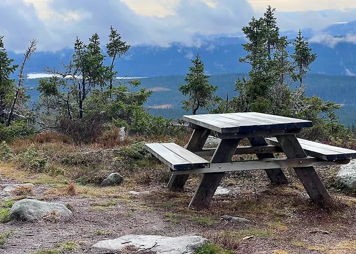 Newly Renovated By Slopes