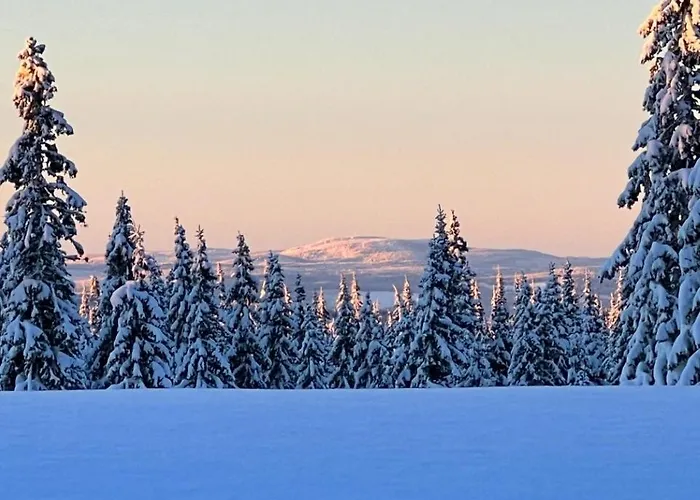 Newly Renovated By Slopes * Sjusjoen