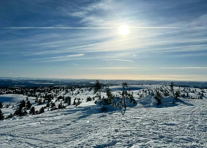 Newly Renovated By Slopes *